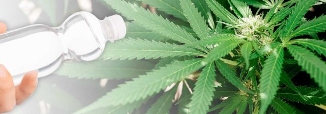 How Is Hemp Plastic Manufactured?