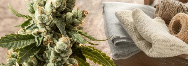 What Are the Pros and Cons of Hemp as a Material?