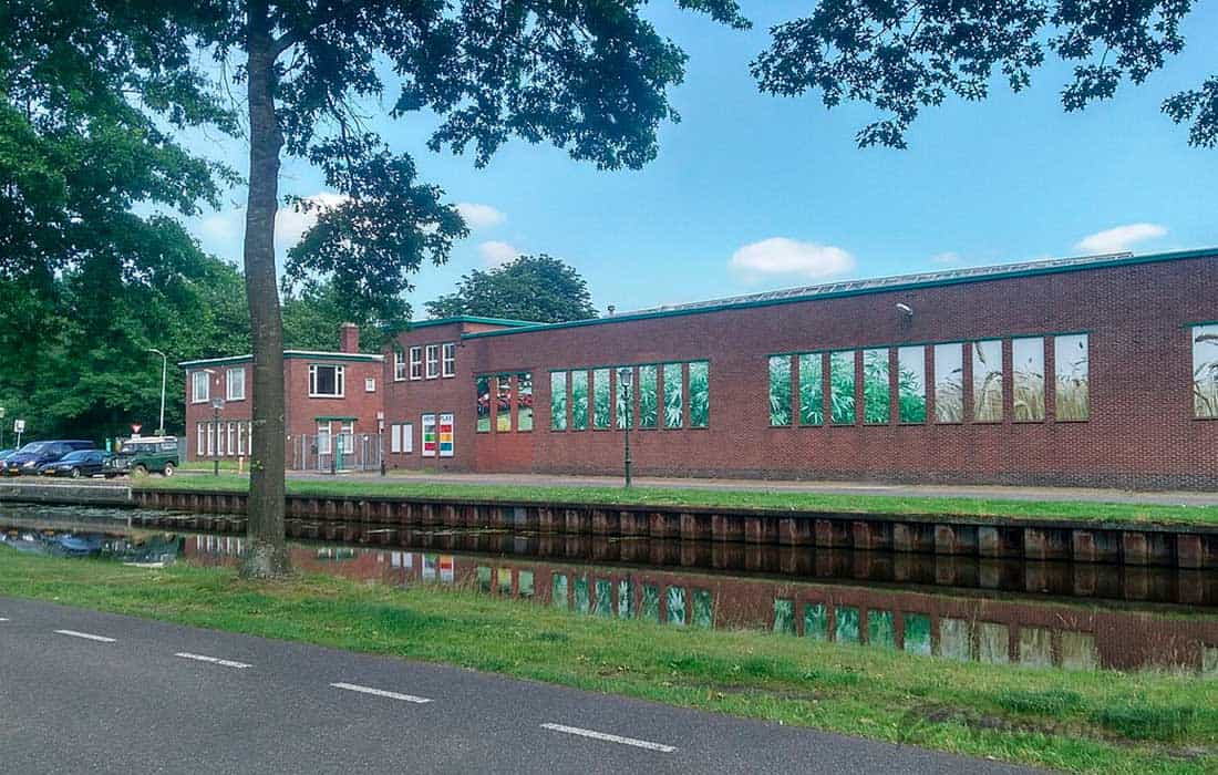 will-we-ever-see-hemp-cars-on-the-road-image-3