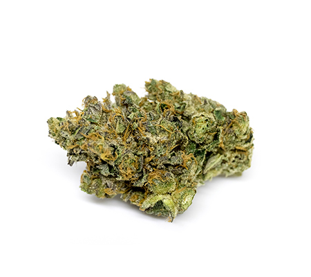 Cheese Quake Strain [Review + Info]