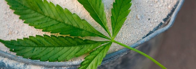 Biggest Disadvantages of Hempcrete as a Building Material