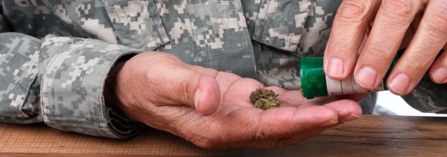 Why Was Hemp Banned After World War II?
