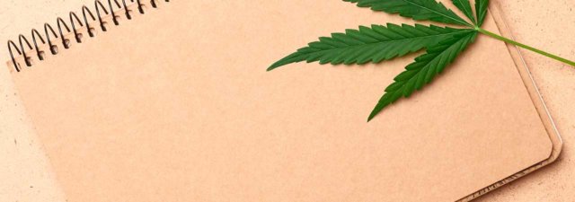 Is Hemp Paper Better Than Paper Made from Trees?