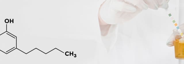 Does Delta 8 THC Appear in a Drug Test?