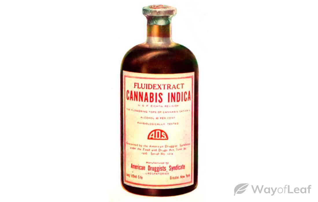 new-york-citys-marijuana-massacre-2