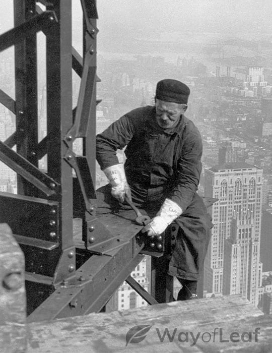 new-york-citys-marijuana-massacre-5