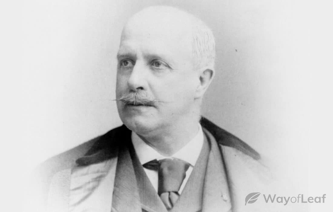 new-york-citys-marijuana-massacre-6