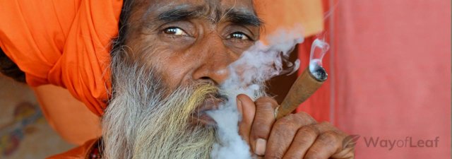 India’s Marijuana Use Started with a Bhang!