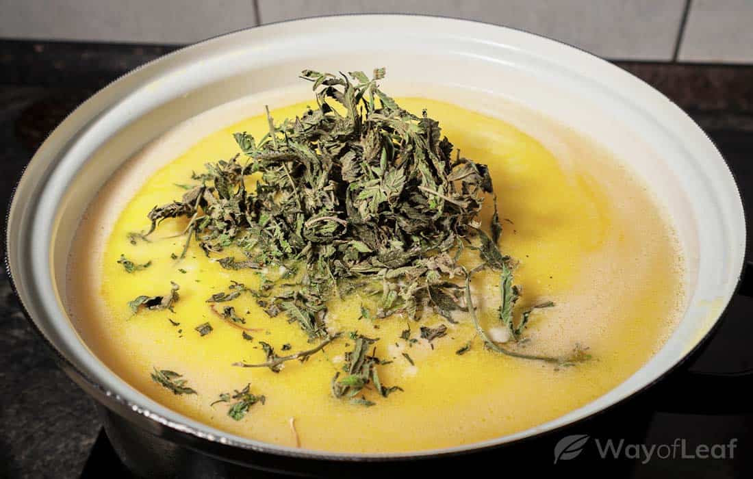 premium-article-add-the-cannabis