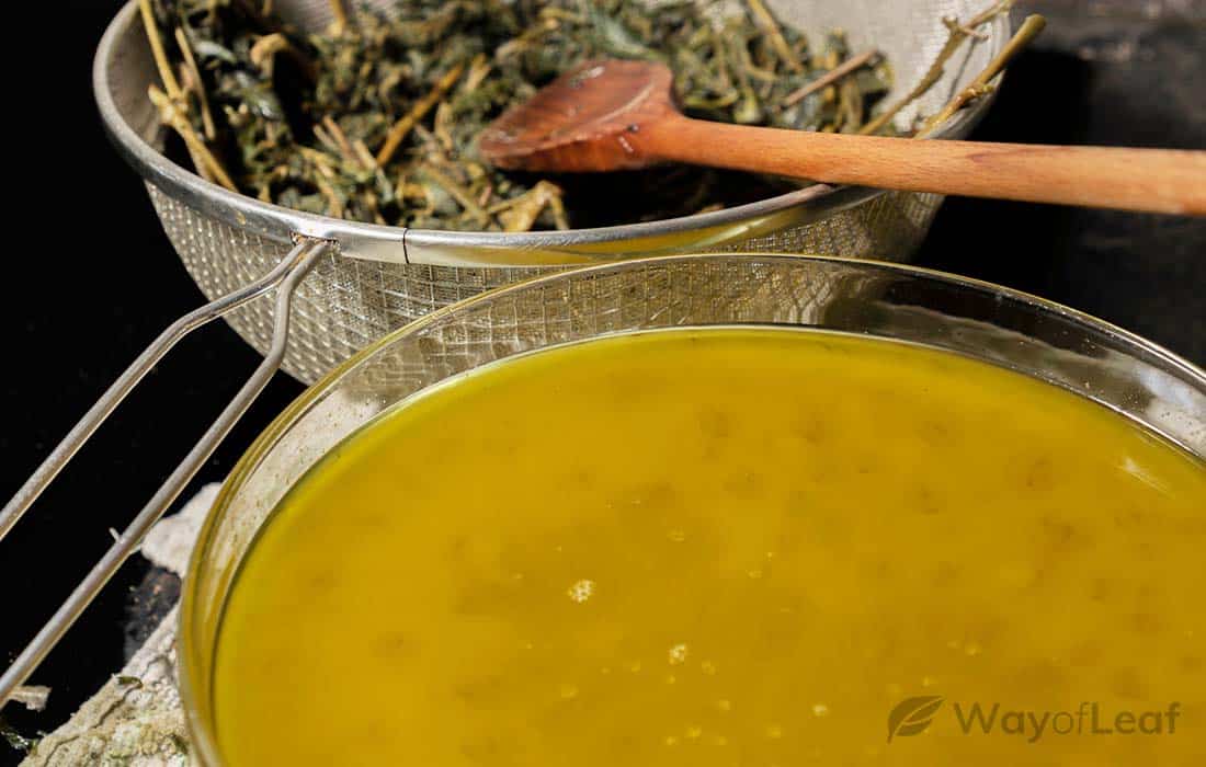 premium-article-strain-the-oil