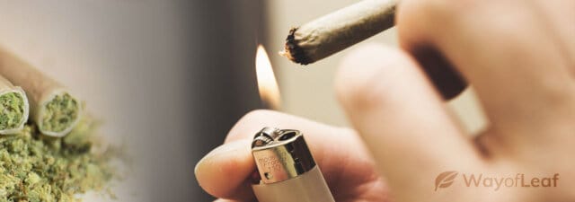 The Benefits and Risks of Legal Cannabis Use