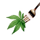 Recipes nolazy