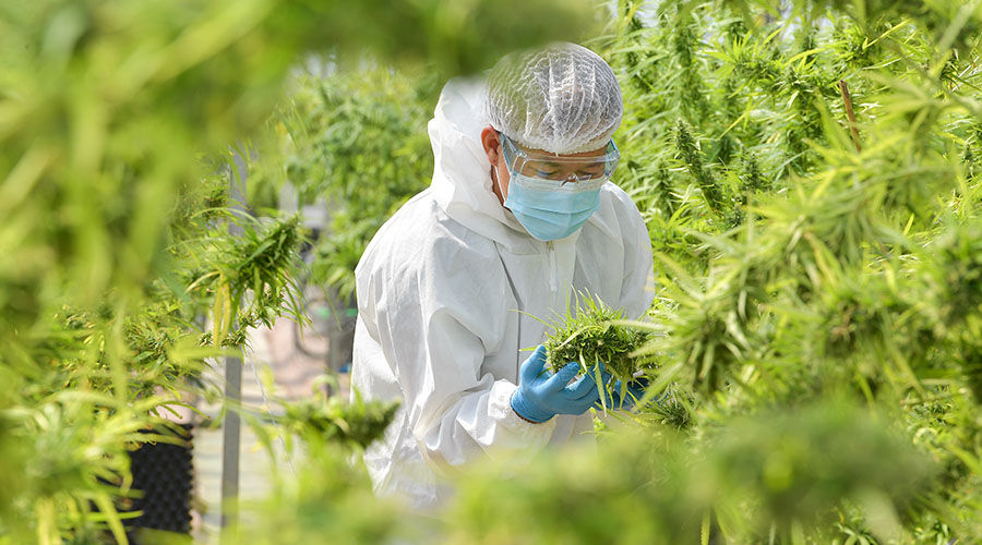 wol-article-pic-ph-meter-calibration-2