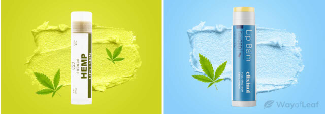 Best CBD Lip Balm [Our Top Picks!]