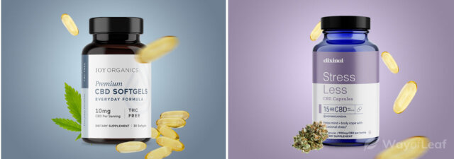 The Best CBD Capsules [Buyer’s Guide + Top Picks]