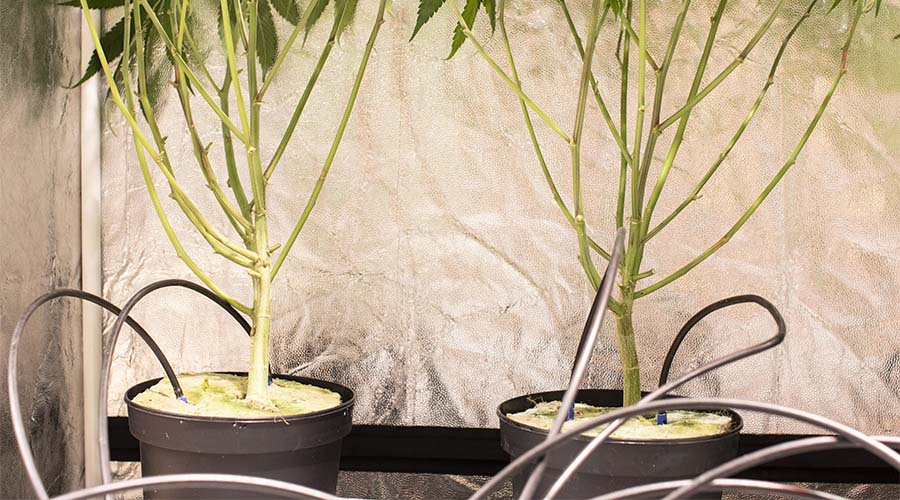 wol-article_pic-hands-free_maintenance-2