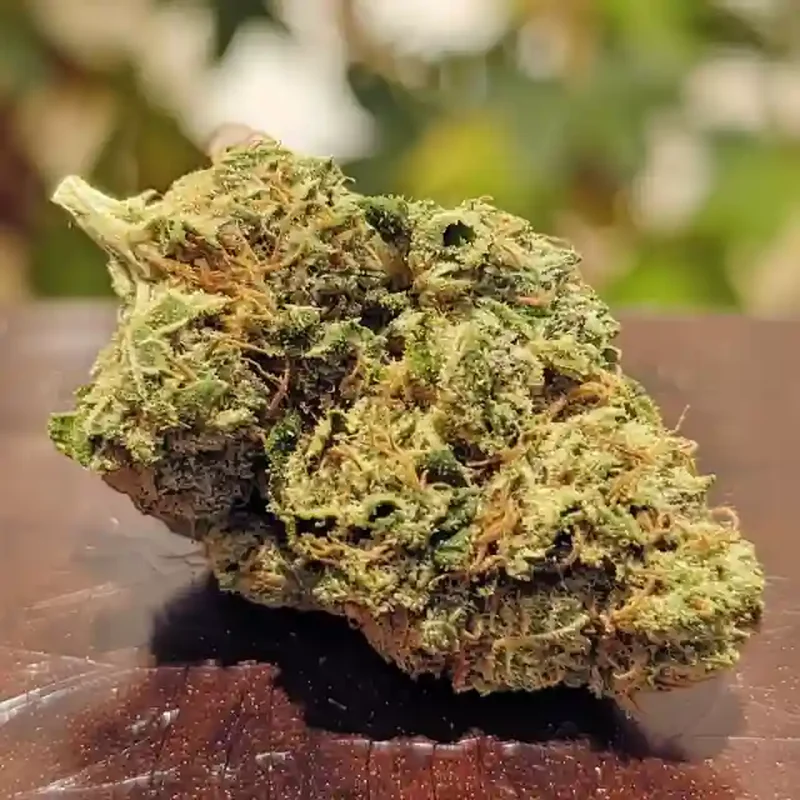 Animal Cake Strain Animal Cake Strain