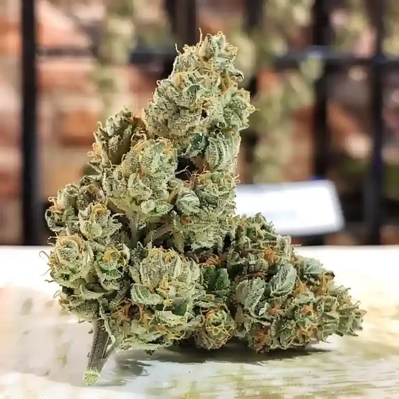 Modified Banana Strain