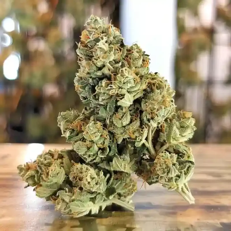 Modified Banana Strain