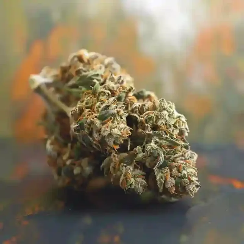 Nf1 Strain Nf1 Strain