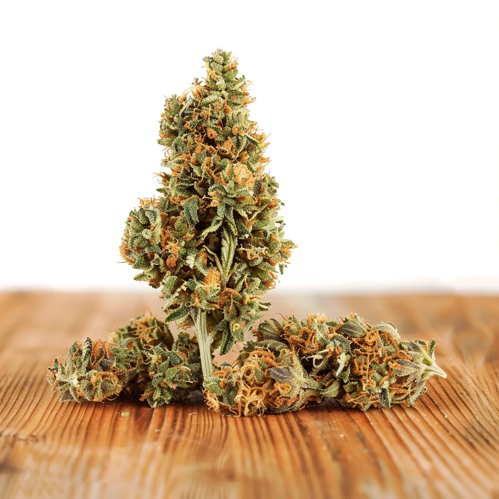 Orange Sunrise Strain