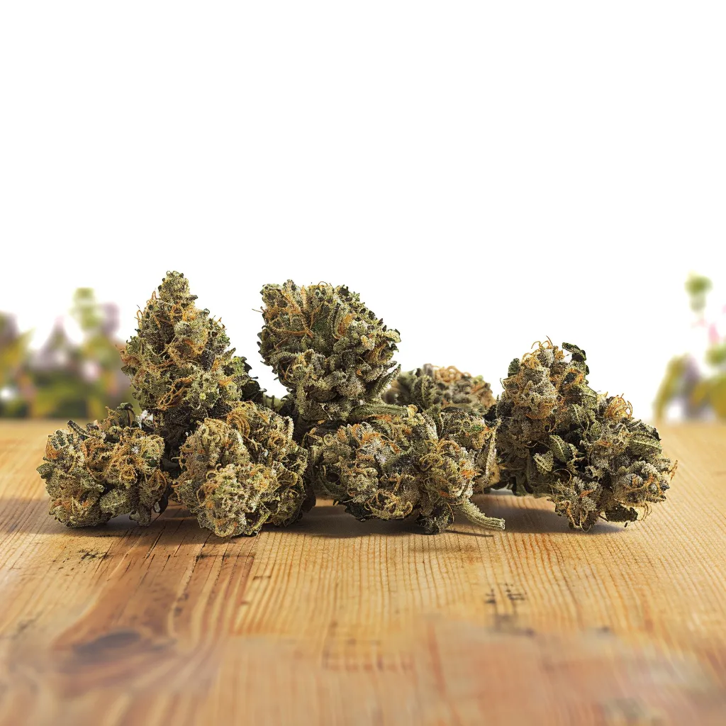 Purple Pantera Strain Purple Pantera Strain