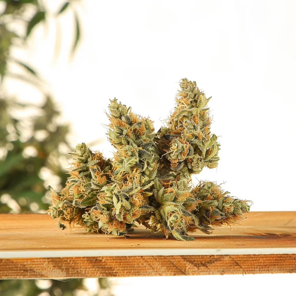 Freezer Burn Strain Freezer Burn Strain