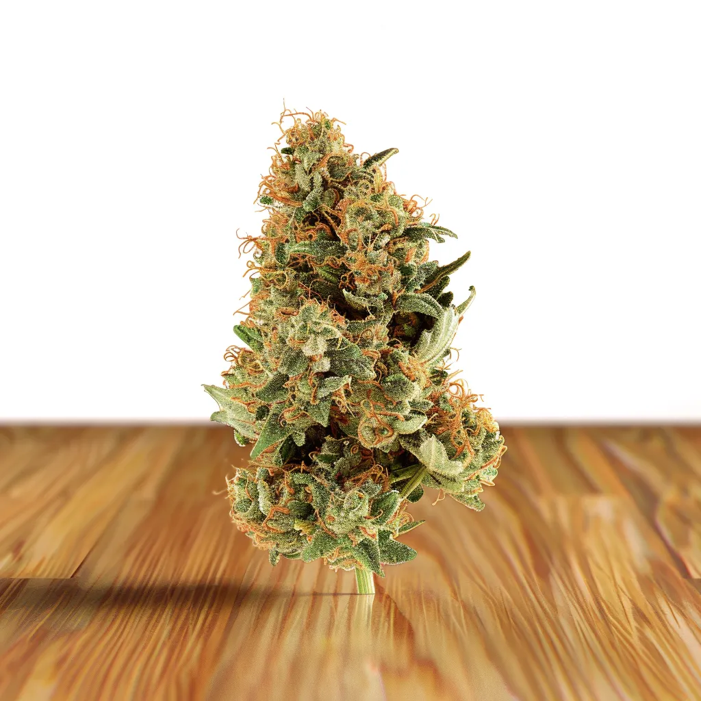 Red Cherry Berry Strain Red Cherry Berry Strain