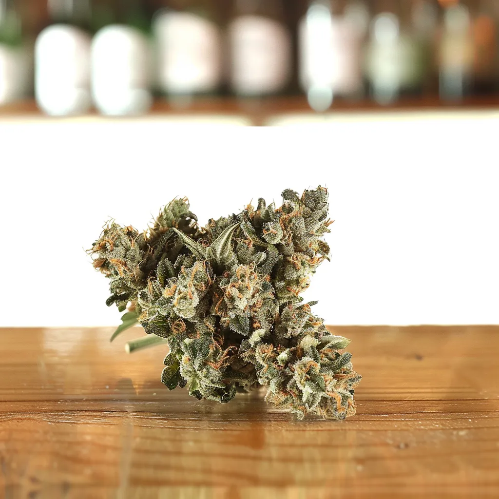 Kumquat Strain Kumquat Strain