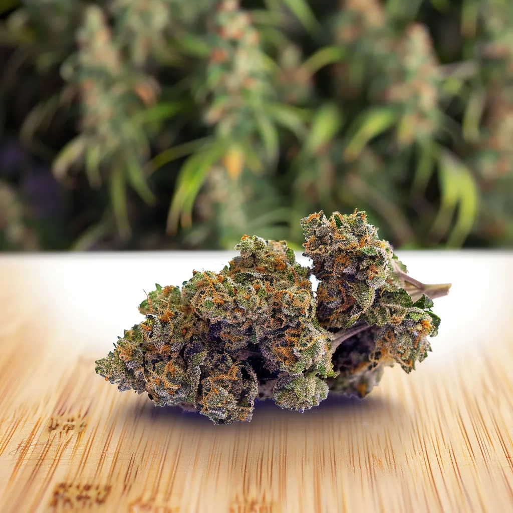 Wonka Bars Strain Wonka Bars Strain