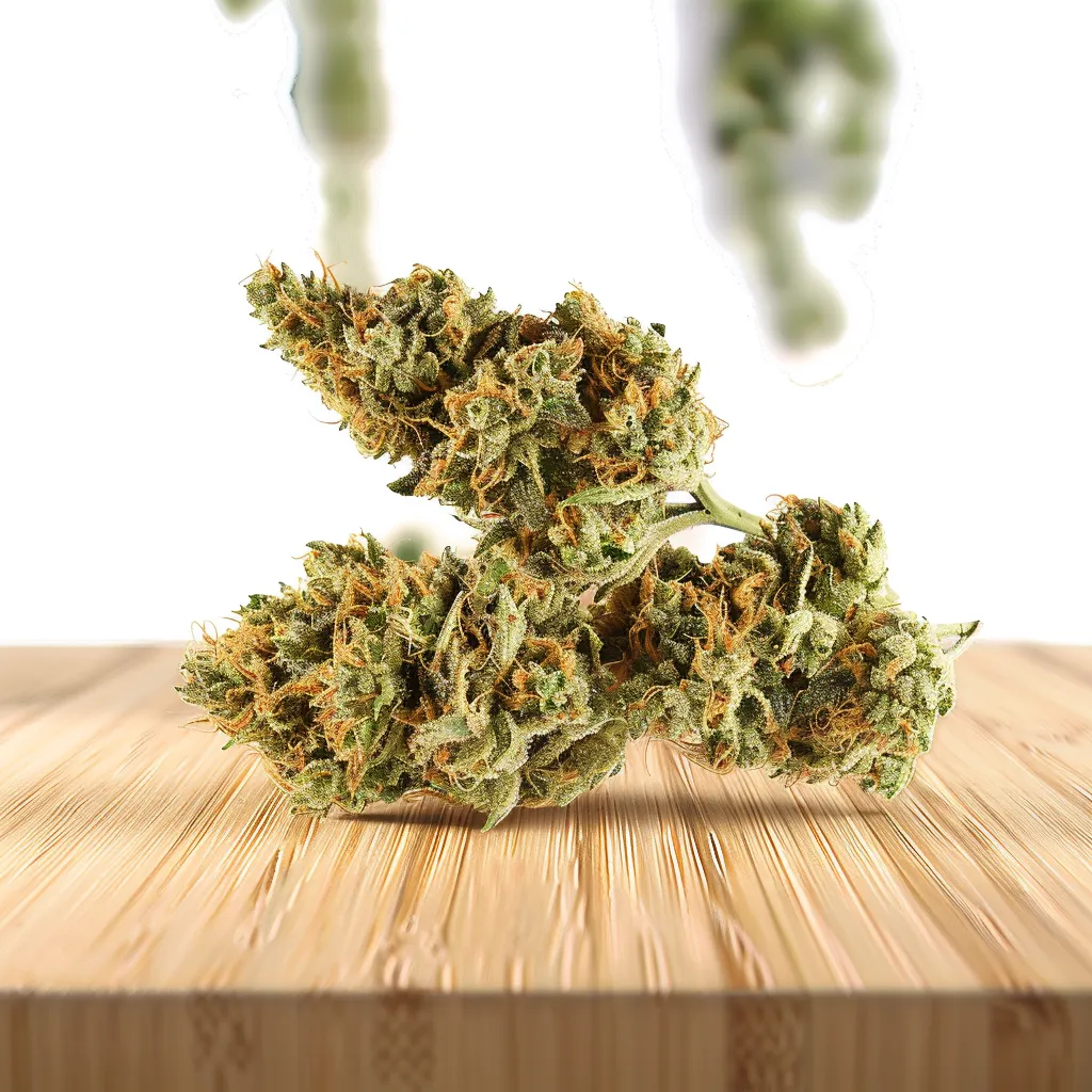 Lime Mojito Strain Lime Mojito Strain